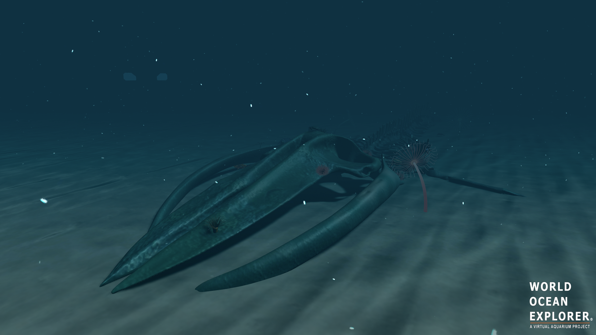 Whalefall