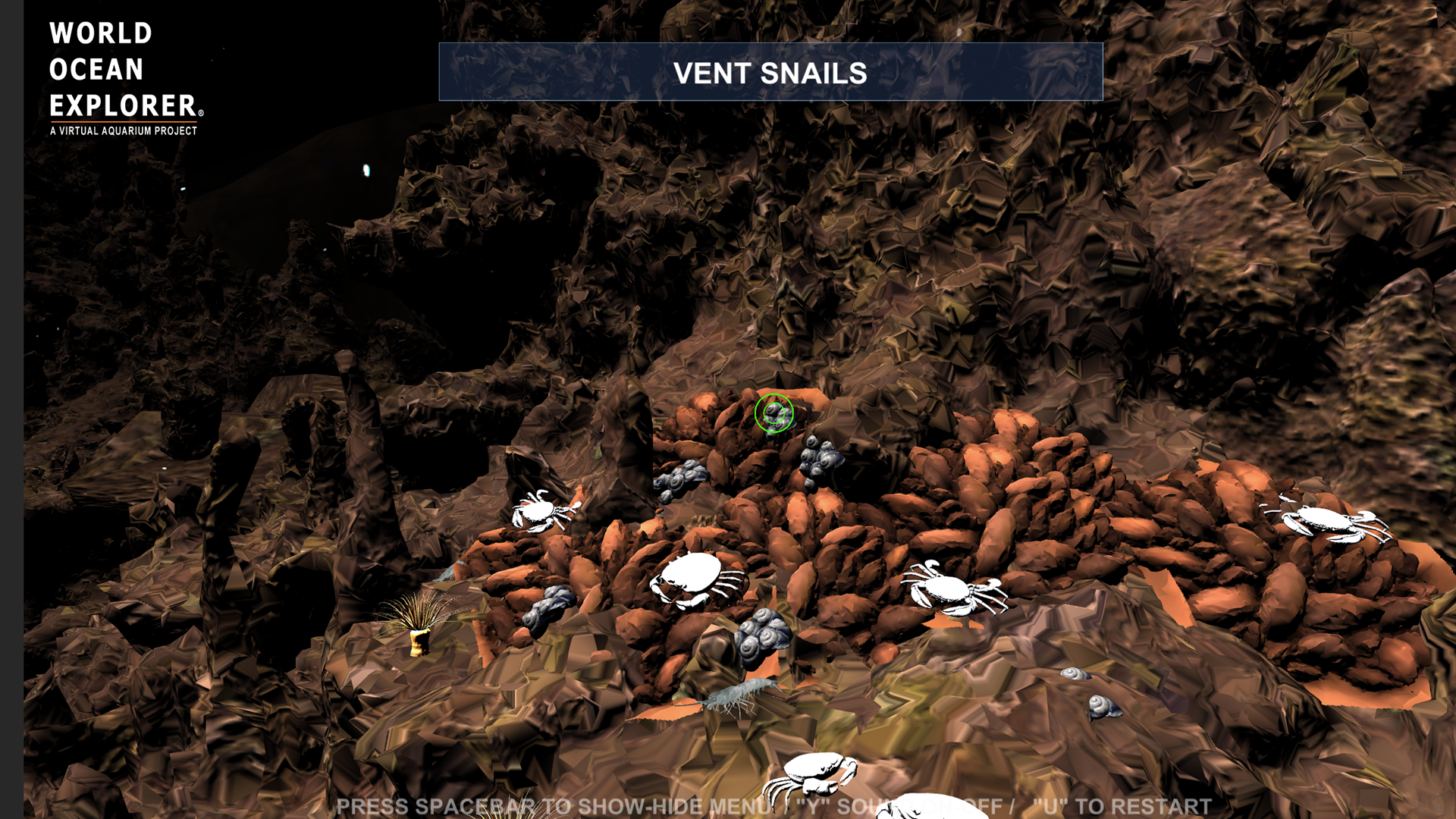 ventsnails